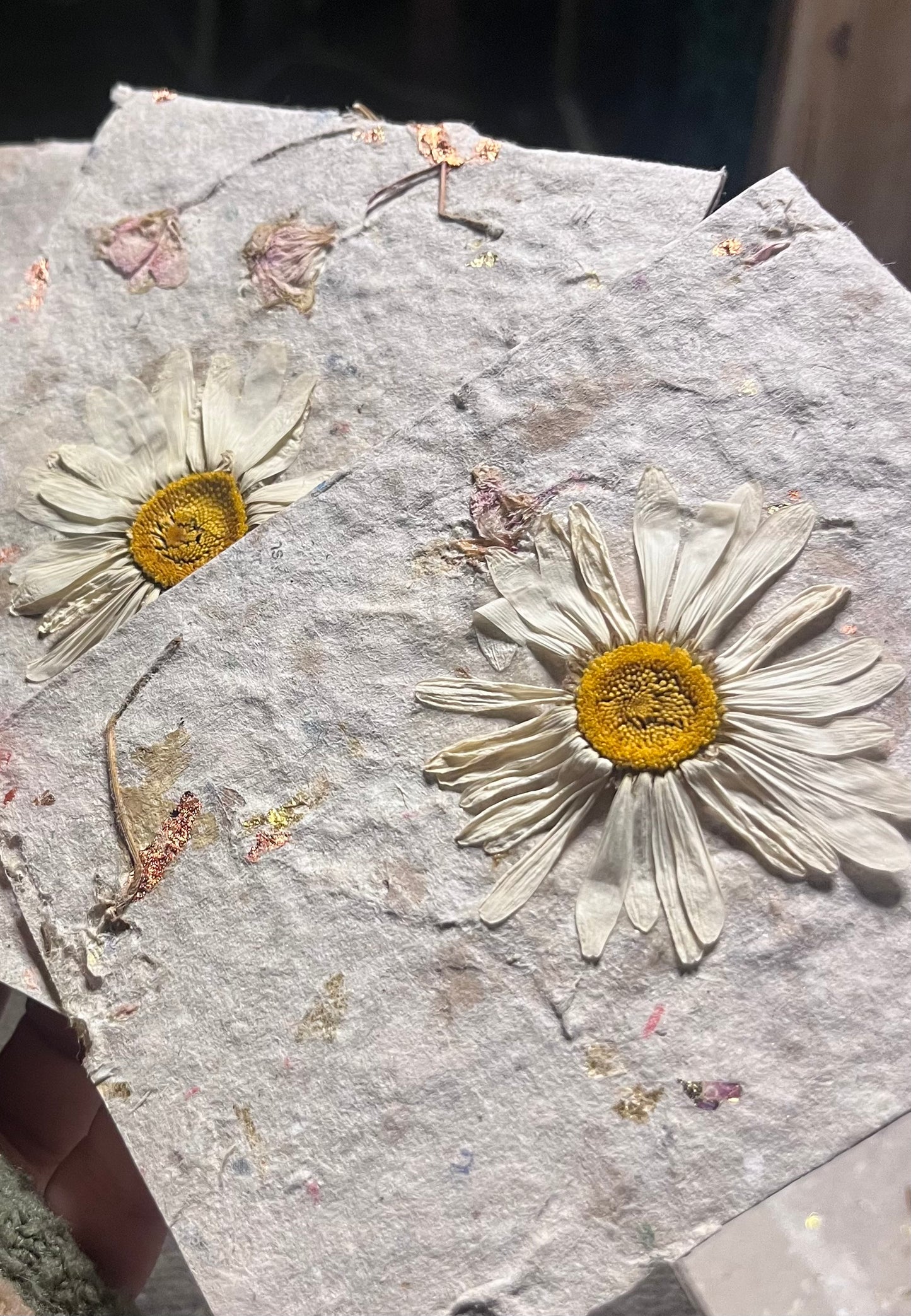 Daisy Batch - Single Handmade Paper Card